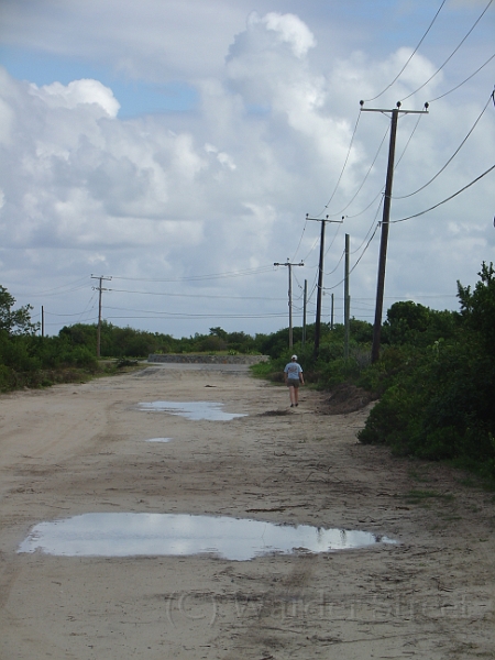 Erica On Anegada 02.jpg